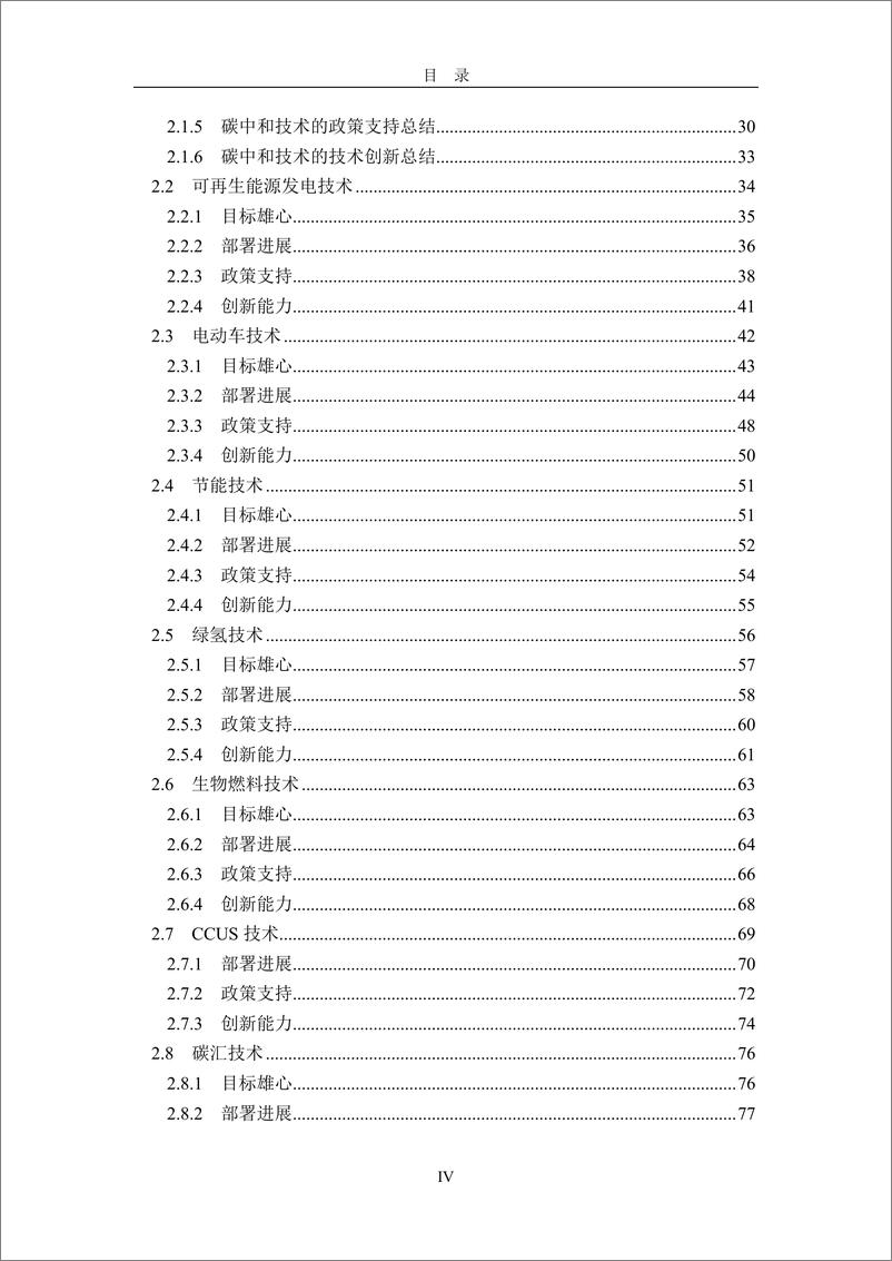 《2024全球碳中和年度进展报告附录》 - 第5页预览图