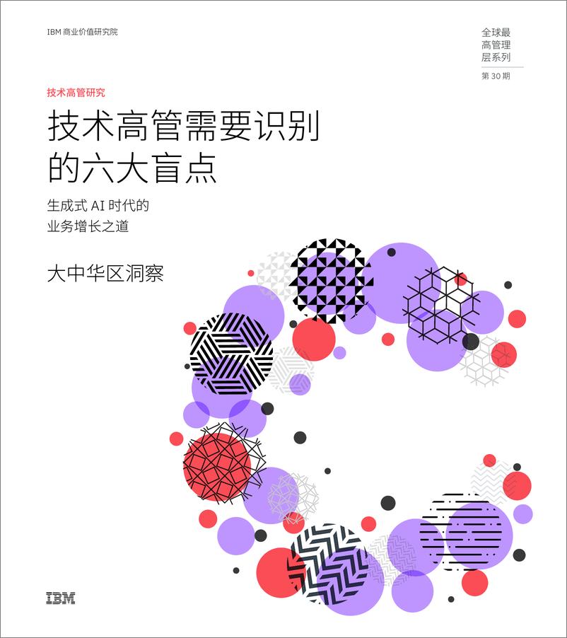 《2024 技术高管研究：技术高管需要识别的六大盲点-39页》 - 第1页预览图