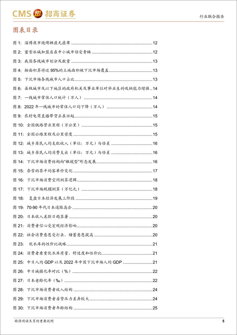 《消费行业中日消费产业对比系列报告3：下沉市场大有可为，品牌化升级之路顺畅-20230914-招商证券-83页》 - 第6页预览图