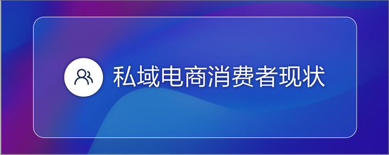 《2022私域电商平台趋势报告》 - 第3页预览图