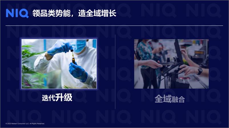 《尼尔森IQ_2024年牙膏品类全渠道购物趋势报告》 - 第5页预览图