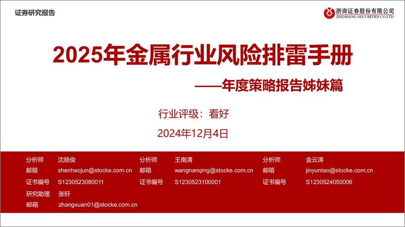 《年度策略报告姊妹篇_2025年金属行业风险排雷手册》 - 第1页预览图