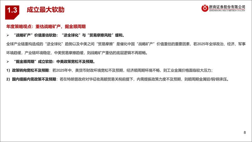 《年度策略报告姊妹篇_2025年金属行业风险排雷手册》 - 第8页预览图