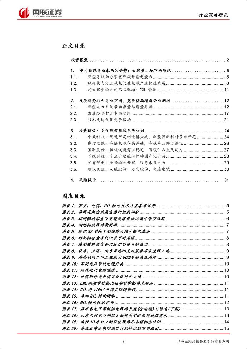 《新型电力系统行业深度研究系列三：能源网络筑强国，电力线缆再出发-20220421-国联证券-32页》 - 第4页预览图