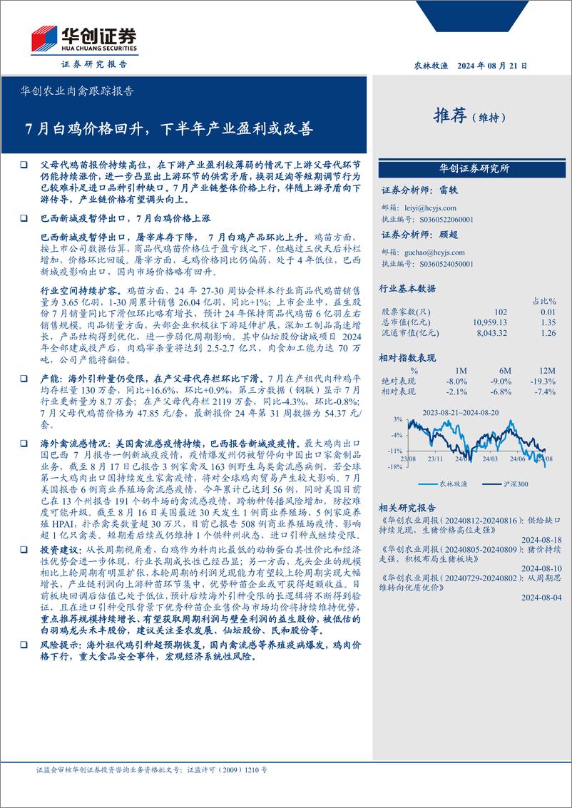 《农业肉禽跟踪报告：7月白鸡价格回升，下半年产业盈利或改善-240821-华创证券-13页》 - 第1页预览图