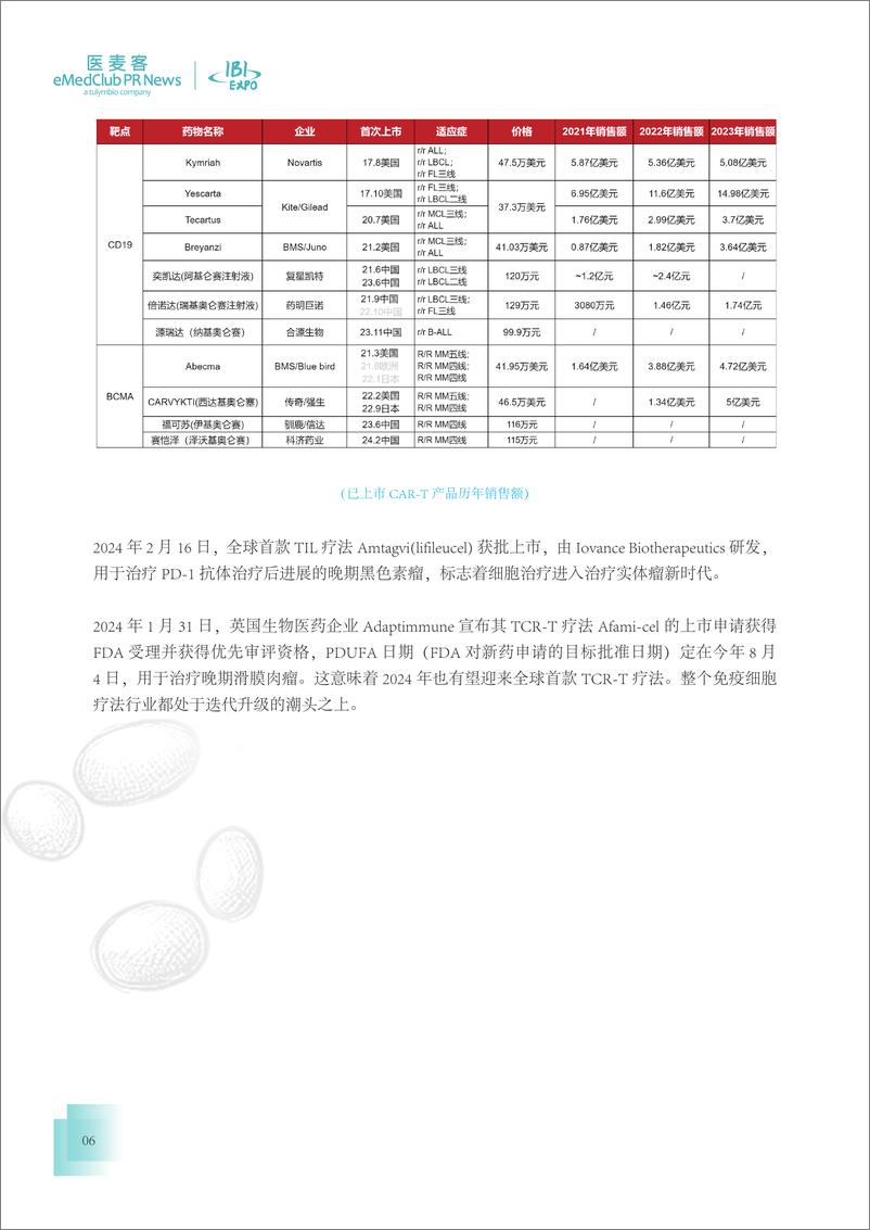 《医麦客：2023-2024免疫细胞疗法行业发展白皮书》 - 第6页预览图