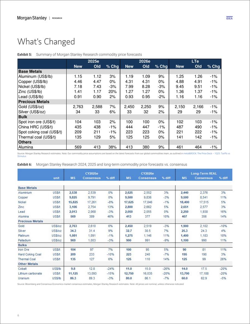 《Morgan Stanley-China Materials 2025 Outlook Plenty of Room for Surprises-112223359》 - 第6页预览图