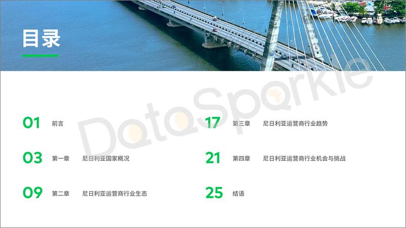 《DataSparkle-2024尼日利亚运营商行业报告》 - 第3页预览图