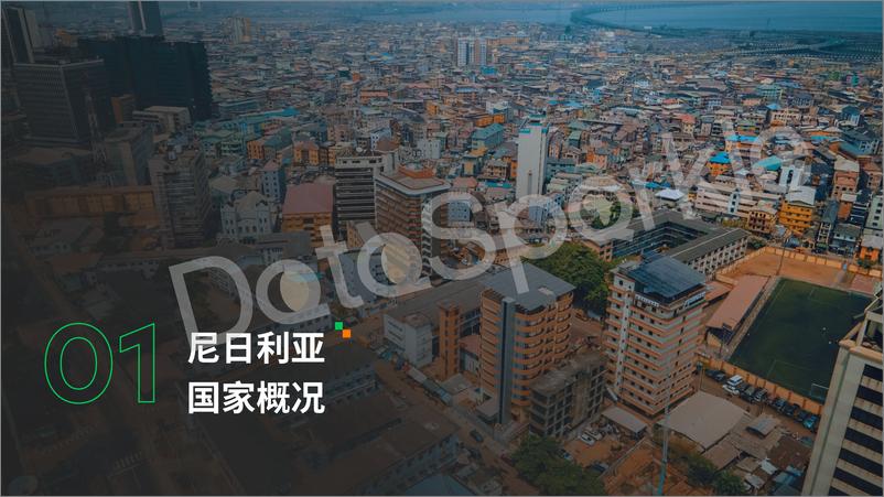 《DataSparkle-2024尼日利亚运营商行业报告》 - 第4页预览图