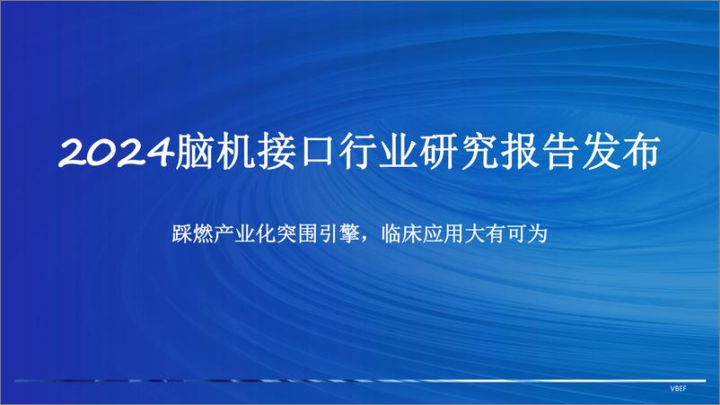 《邵杨鳕2024VBEF演讲：2024脑机接口研究进展和临床应用研究分析报告（脑科学创新发展论坛）》 - 第2页预览图