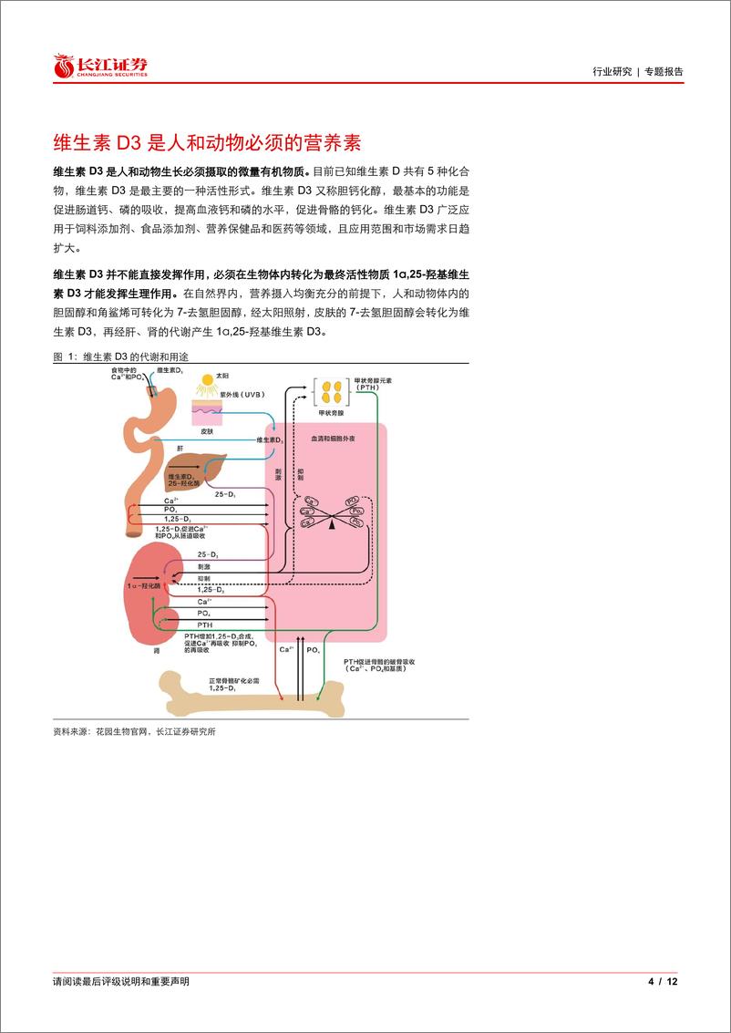 《基础化工行业维生素D3：格局良好，景气向上-240711-长江证券-12页》 - 第4页预览图