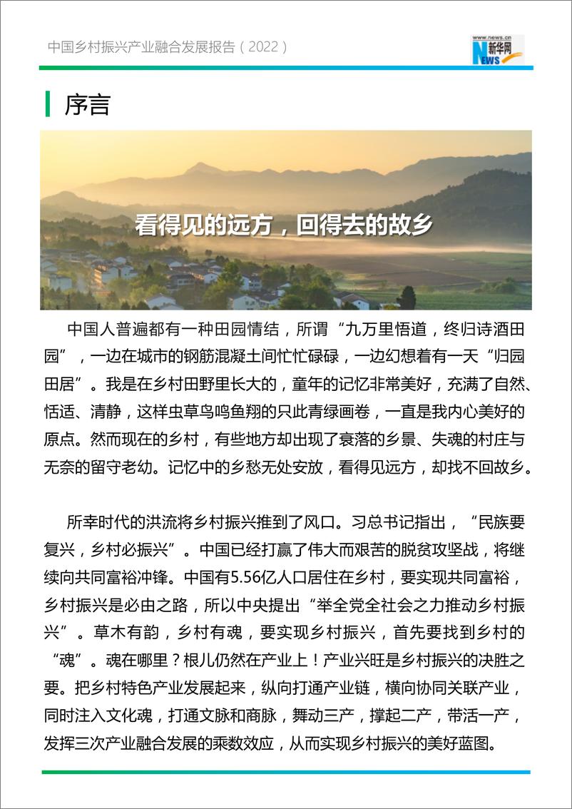 《2022年中国乡村振兴产业融合发展报告-99页》 - 第4页预览图
