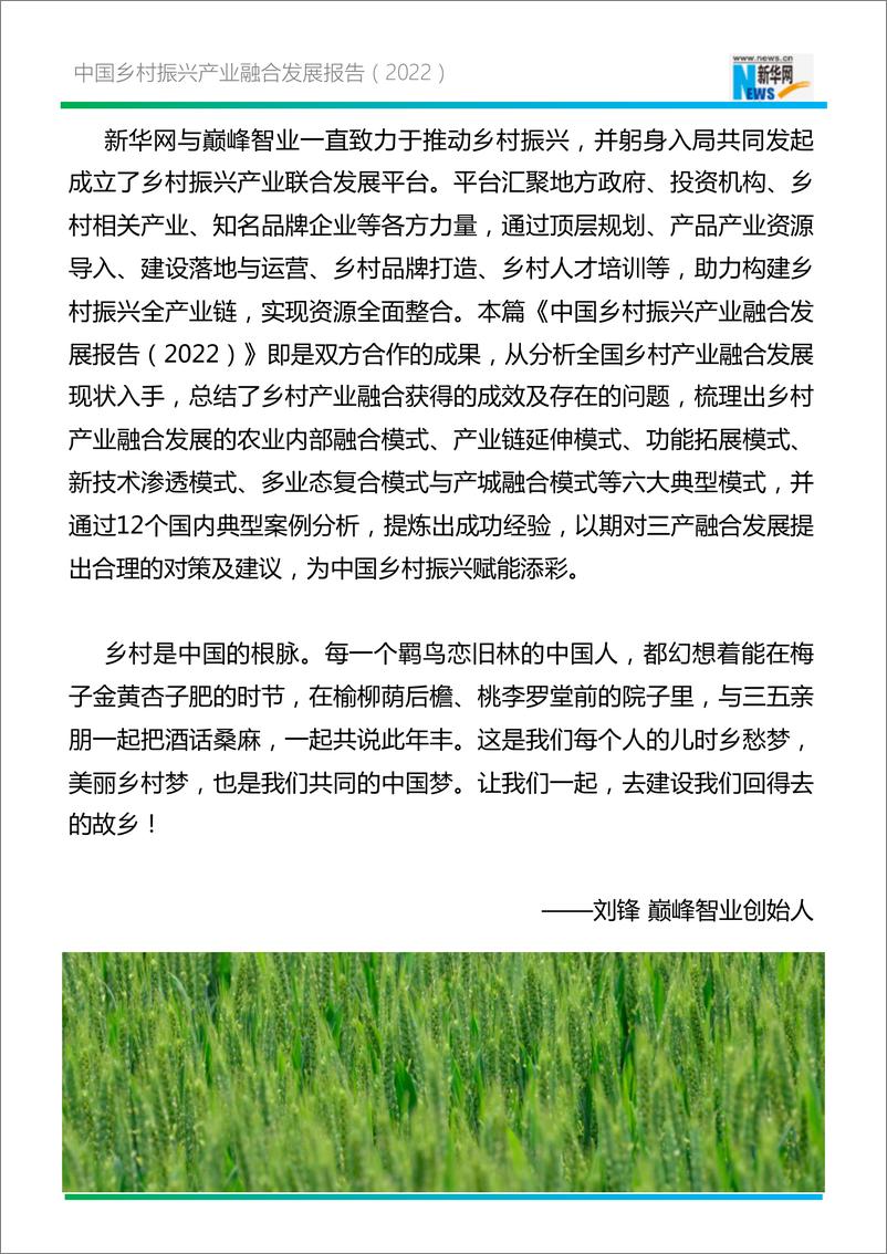《2022年中国乡村振兴产业融合发展报告-99页》 - 第5页预览图