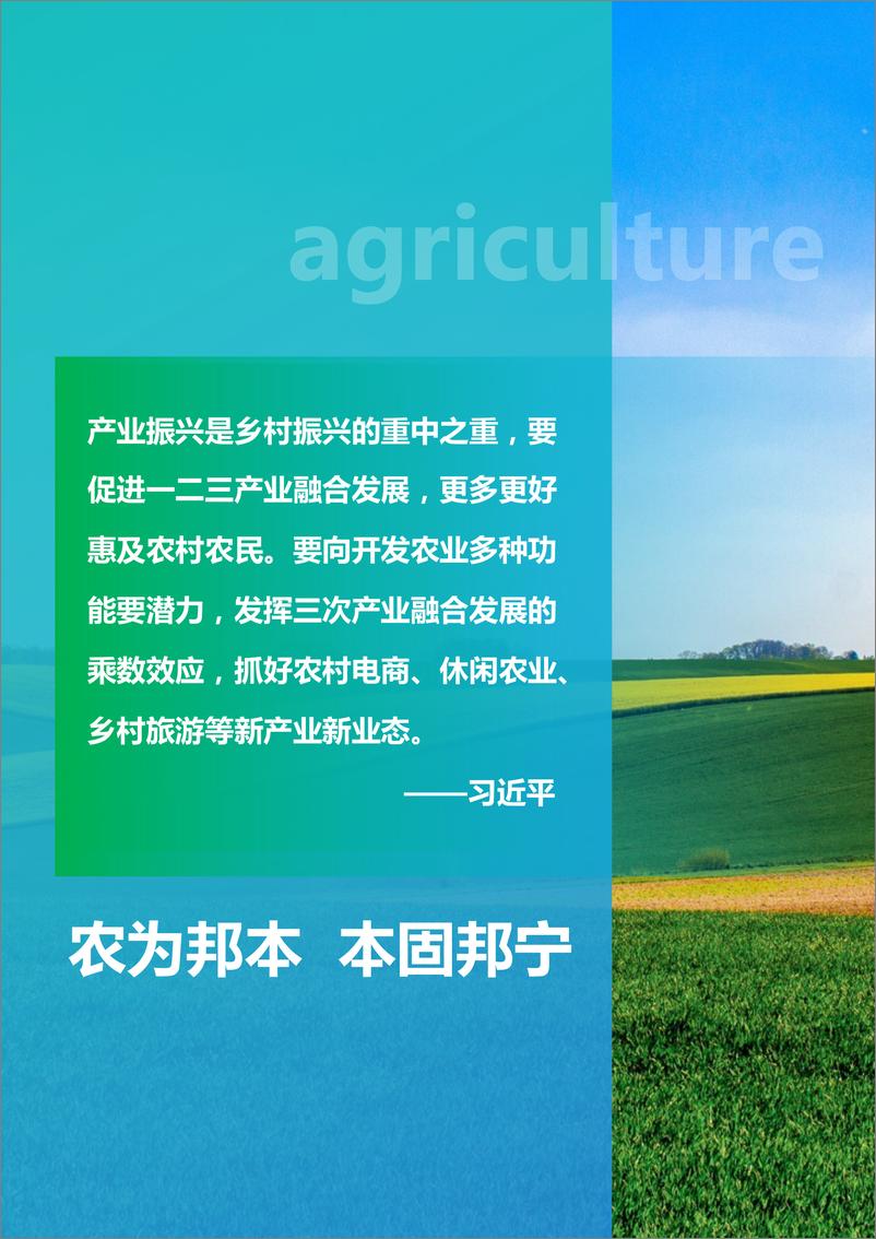 《2022年中国乡村振兴产业融合发展报告-99页》 - 第7页预览图