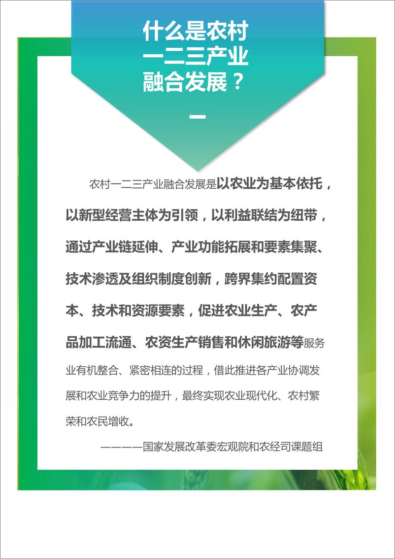 《2022年中国乡村振兴产业融合发展报告-99页》 - 第8页预览图