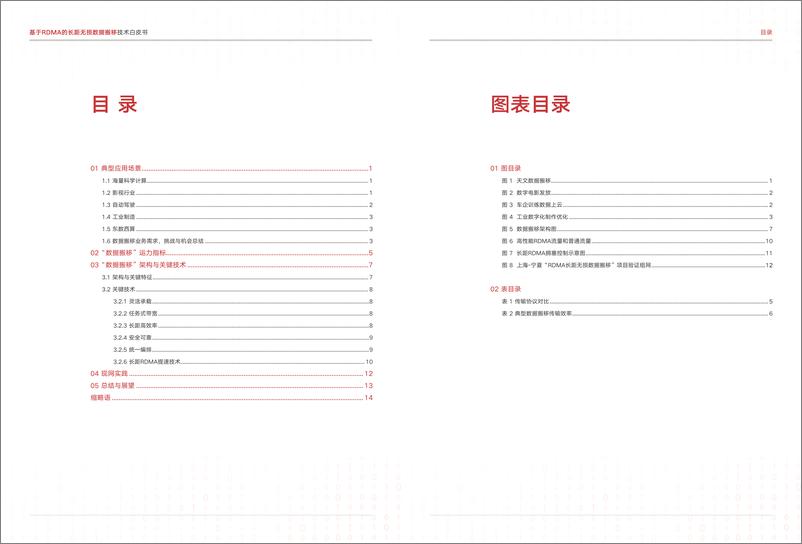 《基于RDMA的长距无损数据搬移技术白皮书》 - 第3页预览图