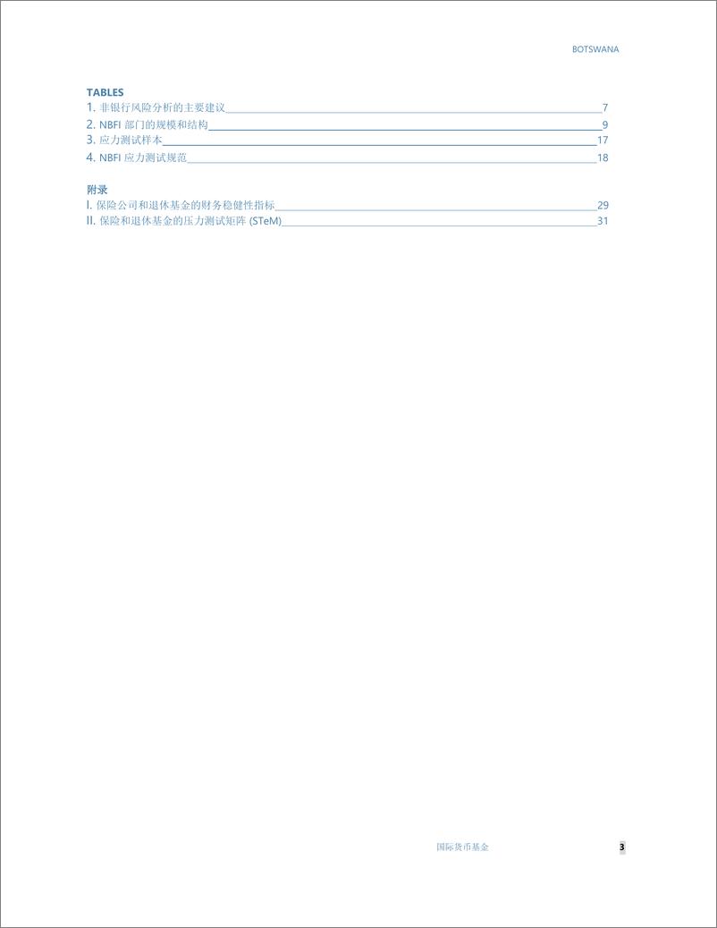 《金融行业评估计划：关于系统液体管理的技术注记》 - 第4页预览图