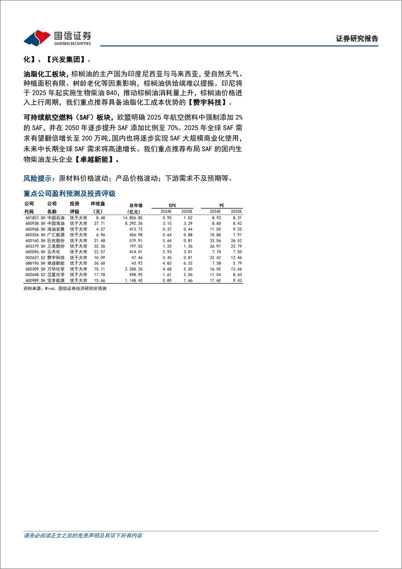 《2025年石化化工行业投资策略：化工景气有望改善，资源行业盈利上行-国信证券-241219-57页》 - 第2页预览图