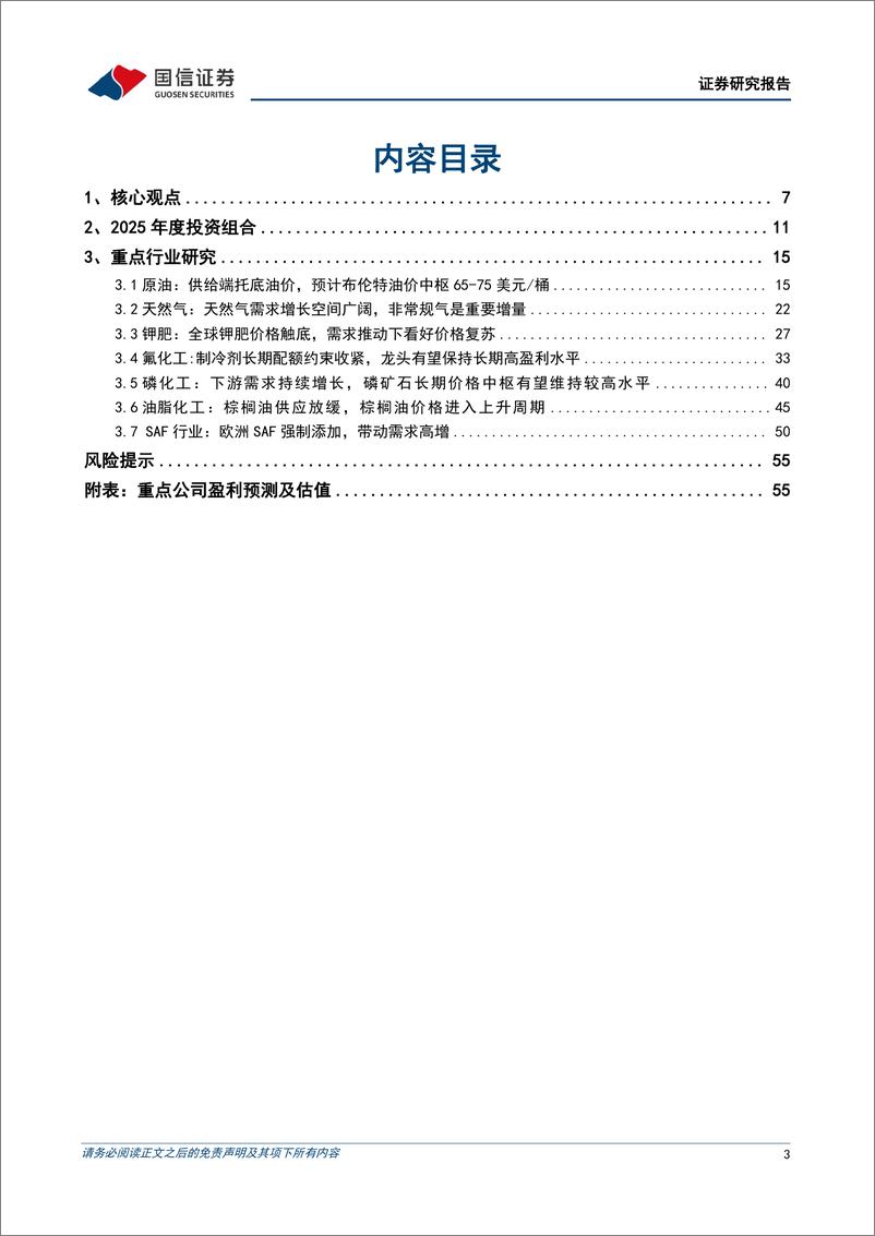 《2025年石化化工行业投资策略：化工景气有望改善，资源行业盈利上行-国信证券-241219-57页》 - 第3页预览图