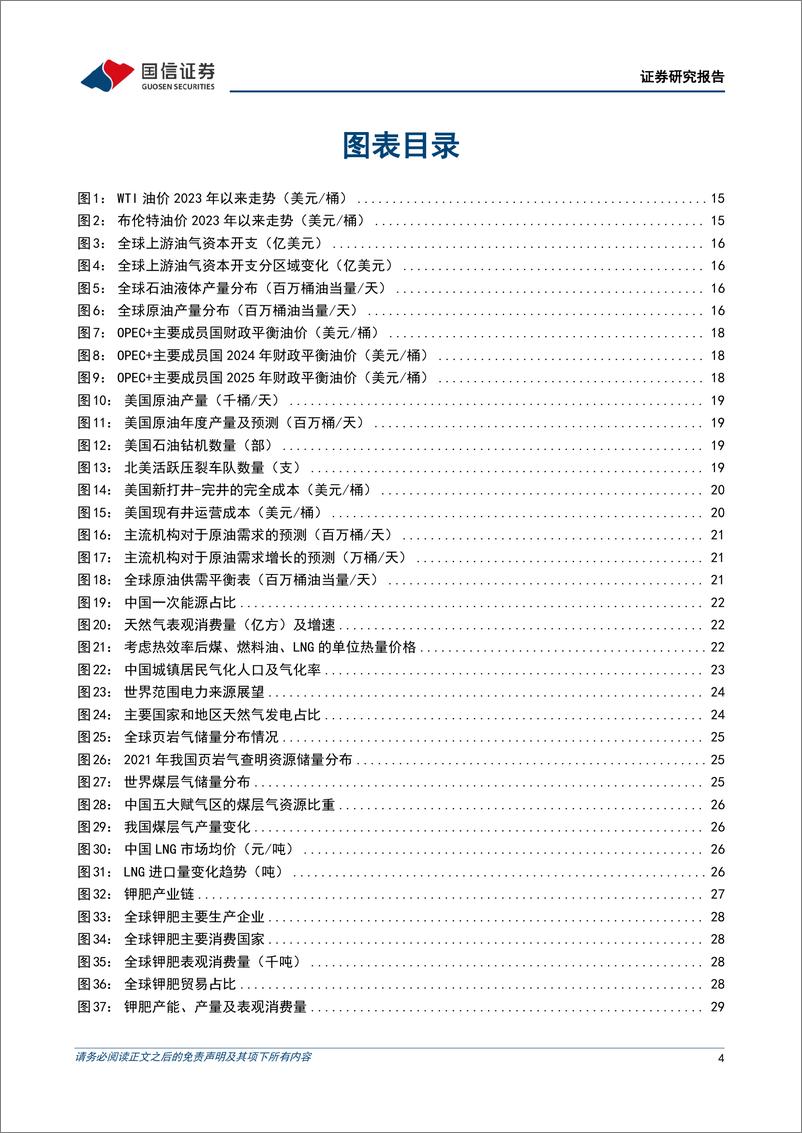 《2025年石化化工行业投资策略：化工景气有望改善，资源行业盈利上行-国信证券-241219-57页》 - 第4页预览图