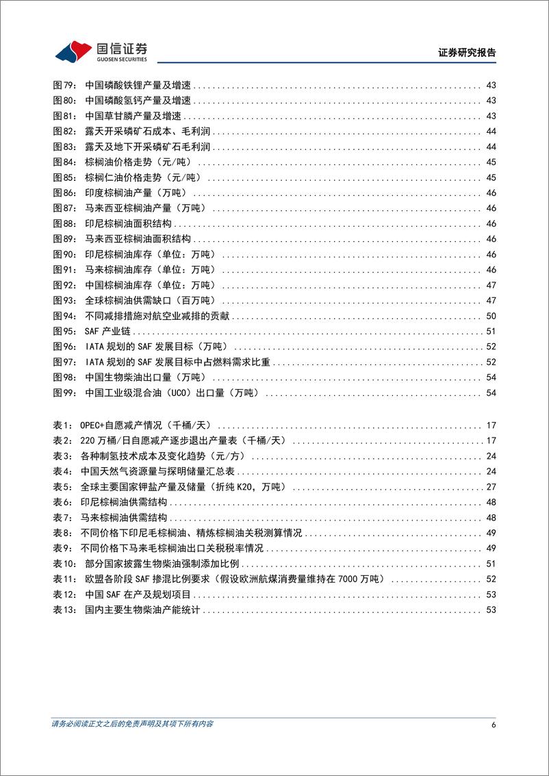 《2025年石化化工行业投资策略：化工景气有望改善，资源行业盈利上行-国信证券-241219-57页》 - 第6页预览图