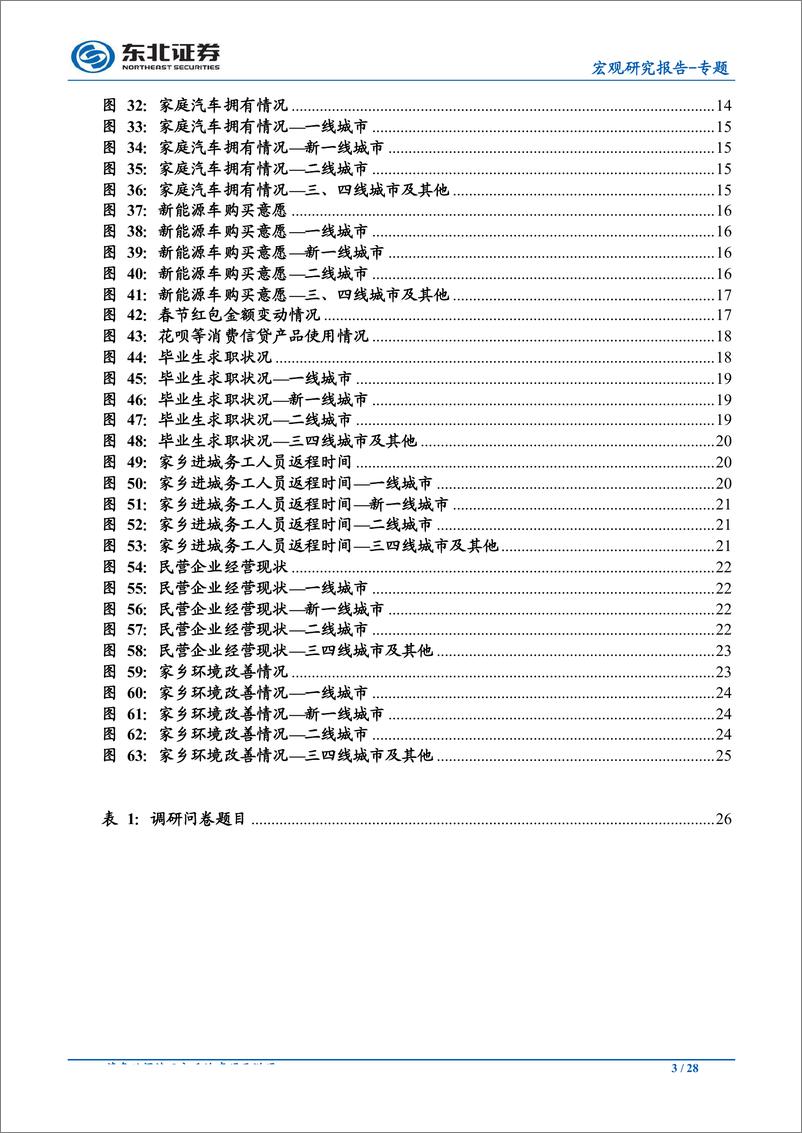 《宏观专题：2019年春节返乡草根问卷调研结果综述-20190213-东北证券-28页》 - 第4页预览图