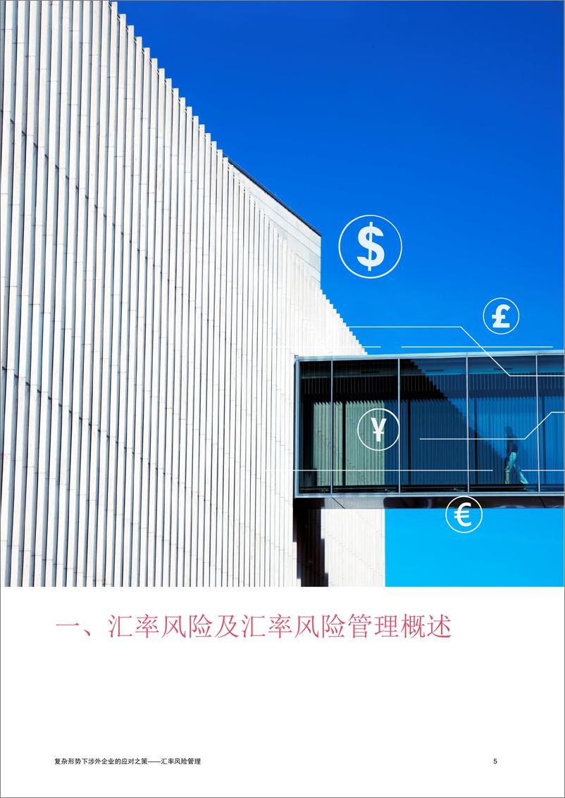 《普华永道-复杂形势下涉外企业的应对之策——汇率风险管理-24页》 - 第6页预览图