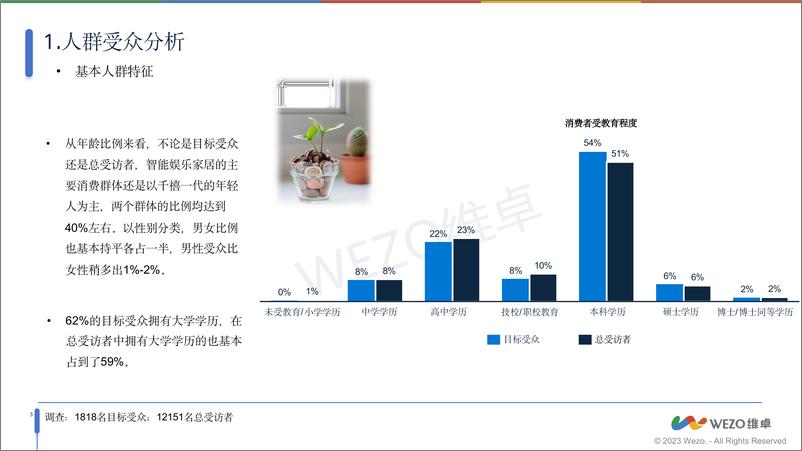 《2024墨西哥智能娱乐家居设备用户调查》 - 第6页预览图