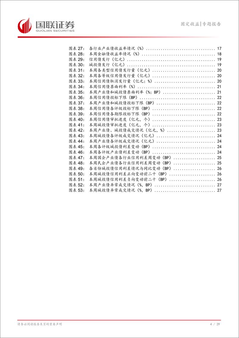 《固定收益专题报告：化债2.0阶段，中短债胜率高-241014-国联证券-30页》 - 第6页预览图