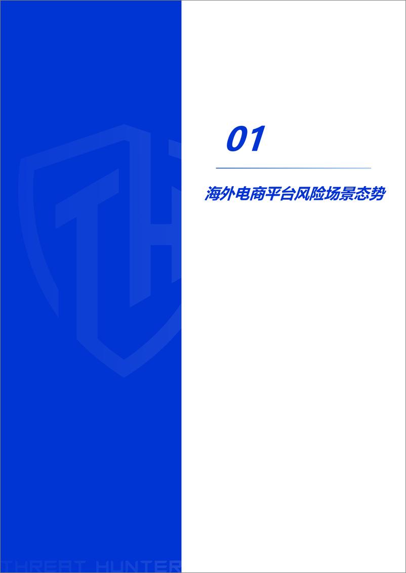 《威胁猎人_2024上半年度海外电商平台风险研究报告》 - 第7页预览图