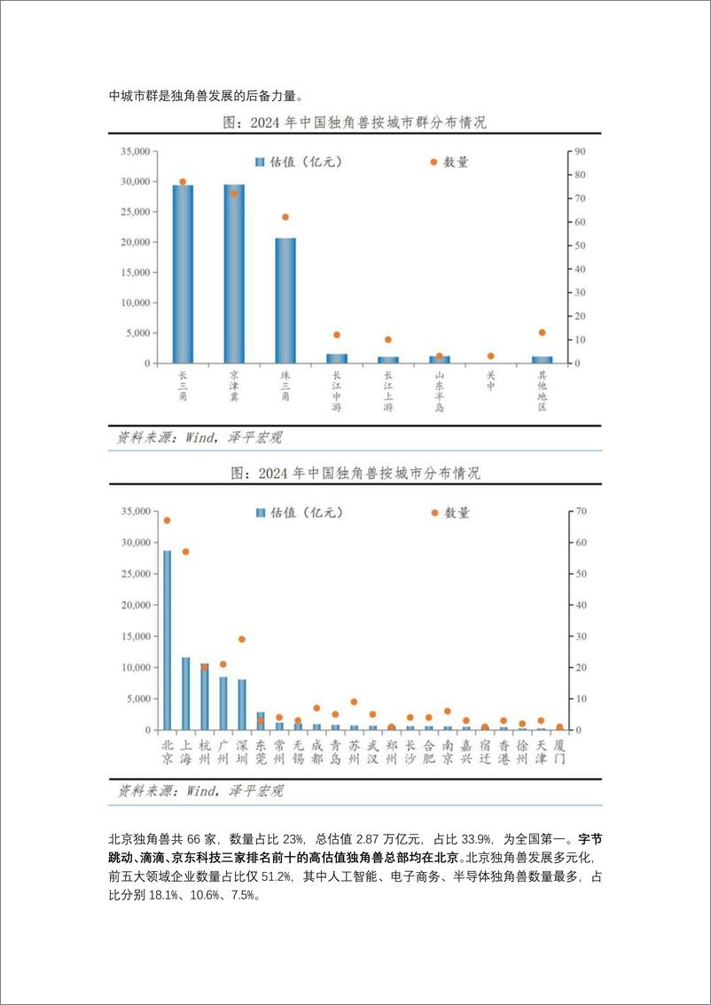 《中国独角兽排行榜2024-泽平宏观》 - 第4页预览图