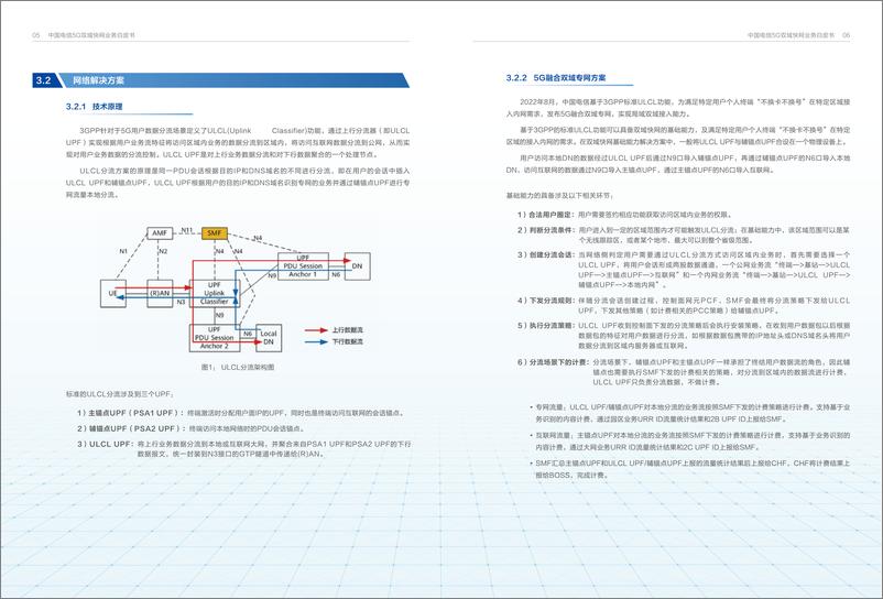 《中国电信5G双域快网业务白皮书》 - 第5页预览图