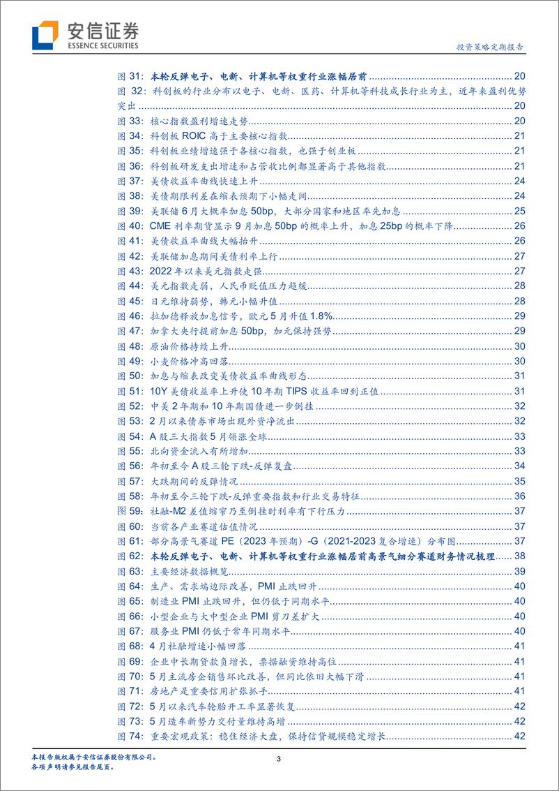 《中国股市记忆之2022年5月：二季度龙跃在渊显现-20220614-安信证券-53页》 - 第4页预览图