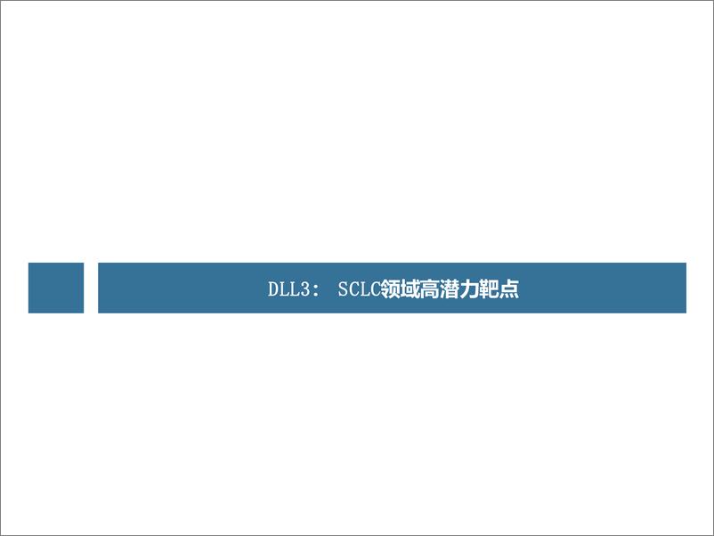 《医药行业研究·创新药系列：DLL＋3，SCLC领域高潜力靶点(更新)-241230-中信建投-22页》 - 第3页预览图