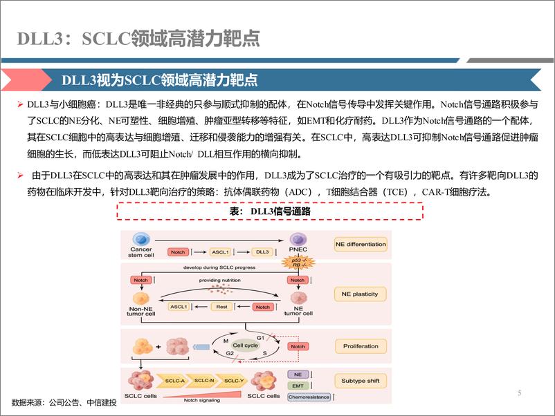 《医药行业研究·创新药系列：DLL＋3，SCLC领域高潜力靶点(更新)-241230-中信建投-22页》 - 第5页预览图