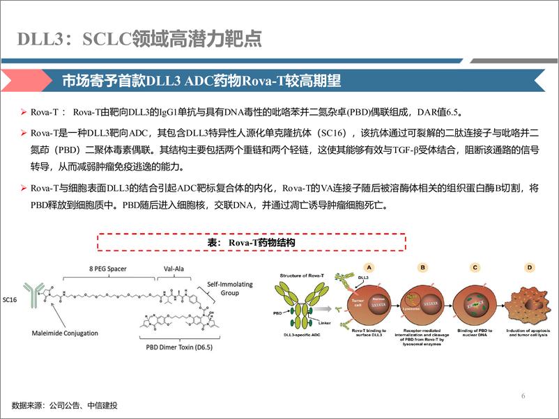 《医药行业研究·创新药系列：DLL＋3，SCLC领域高潜力靶点(更新)-241230-中信建投-22页》 - 第6页预览图