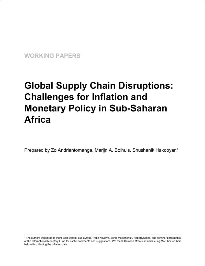《IMF-全球供应链中断：撒哈拉以南非洲通货膨胀和货币政策面临的挑战（英）-2023.2-41页》 - 第4页预览图