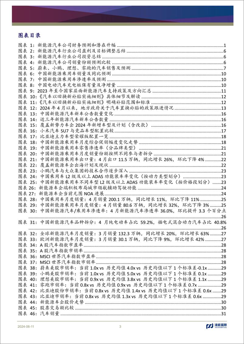 《新能源汽车行业投资手册系列报告(十)：竞争不止，成长不息-240611-浦银国际-70页》 - 第3页预览图