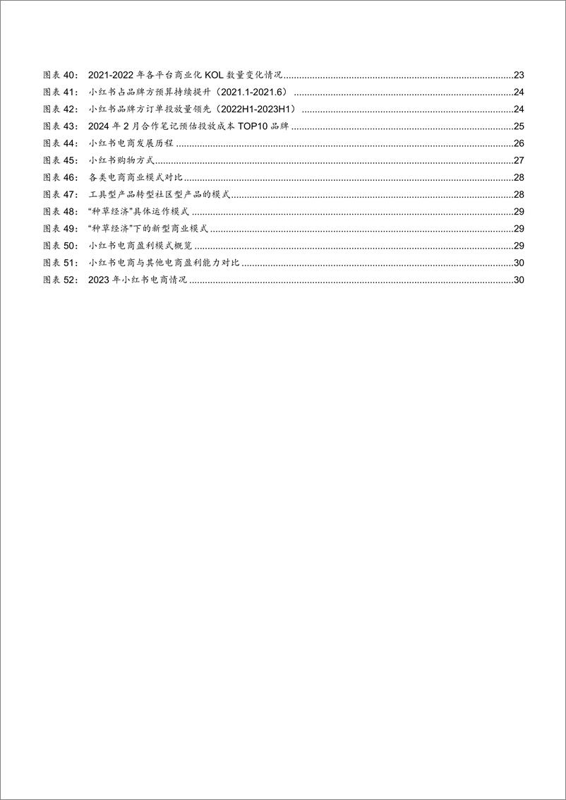 《2024小红书发展现状及商业化模式与进程分析报告》 - 第4页预览图