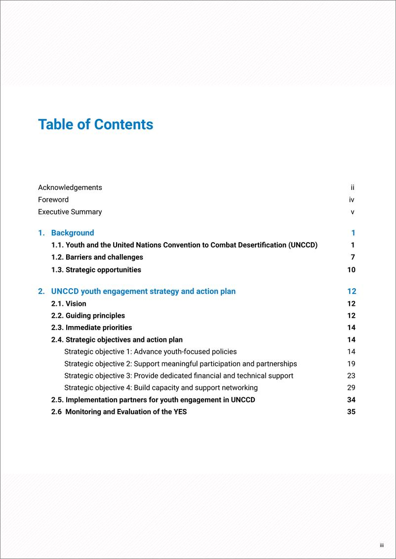 《2024年青年参与策略及行动计划报告（英文版）-UNCCD联合国防治荒漠化公约》 - 第3页预览图