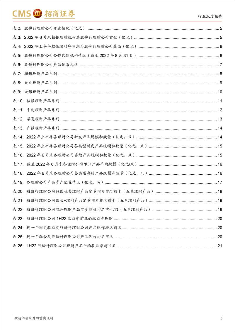 《银行业1H22股份行理财公司产品评价与回顾：股市低迷的挑战-20220918-招商证券-22页》 - 第4页预览图