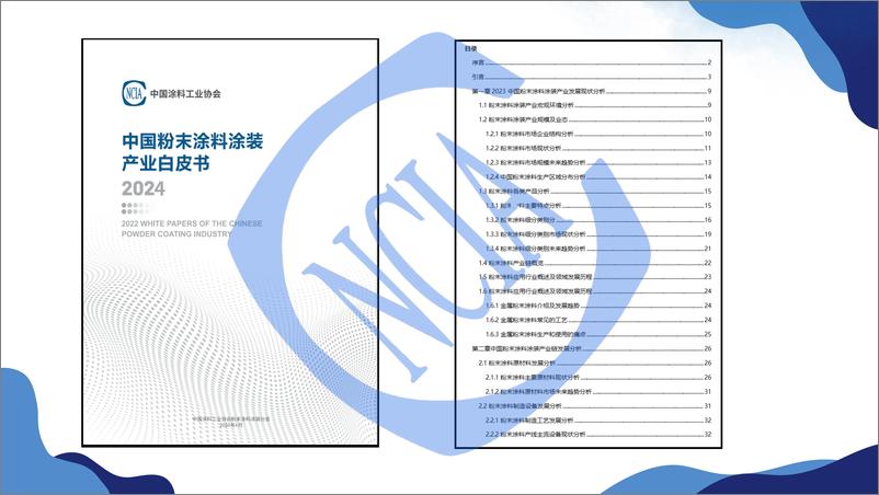 《徐琥：2024粉末涂料涂装产业白皮书发布说明》 - 第2页预览图