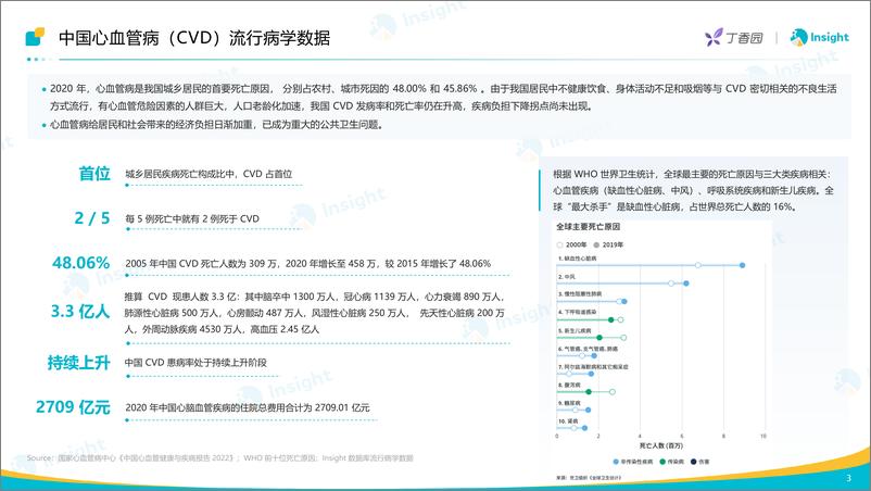 《丁香园：2024心血管领域重回主赛道，小核酸药物表现亮眼报告》 - 第4页预览图