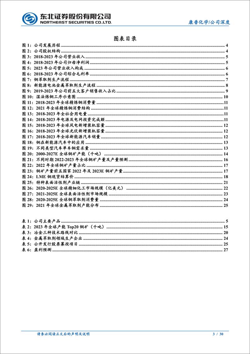 《康普化学(834033)全球铜萃取剂领先企业，有望受益于铜价上涨-240513-东北证券-30页》 - 第3页预览图