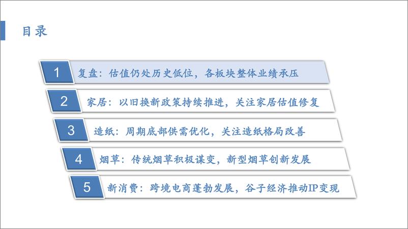 《轻工制造行业2025年度策略：传统消费复苏在途，新兴赛道空间可期-241216-华安证券-65页》 - 第4页预览图