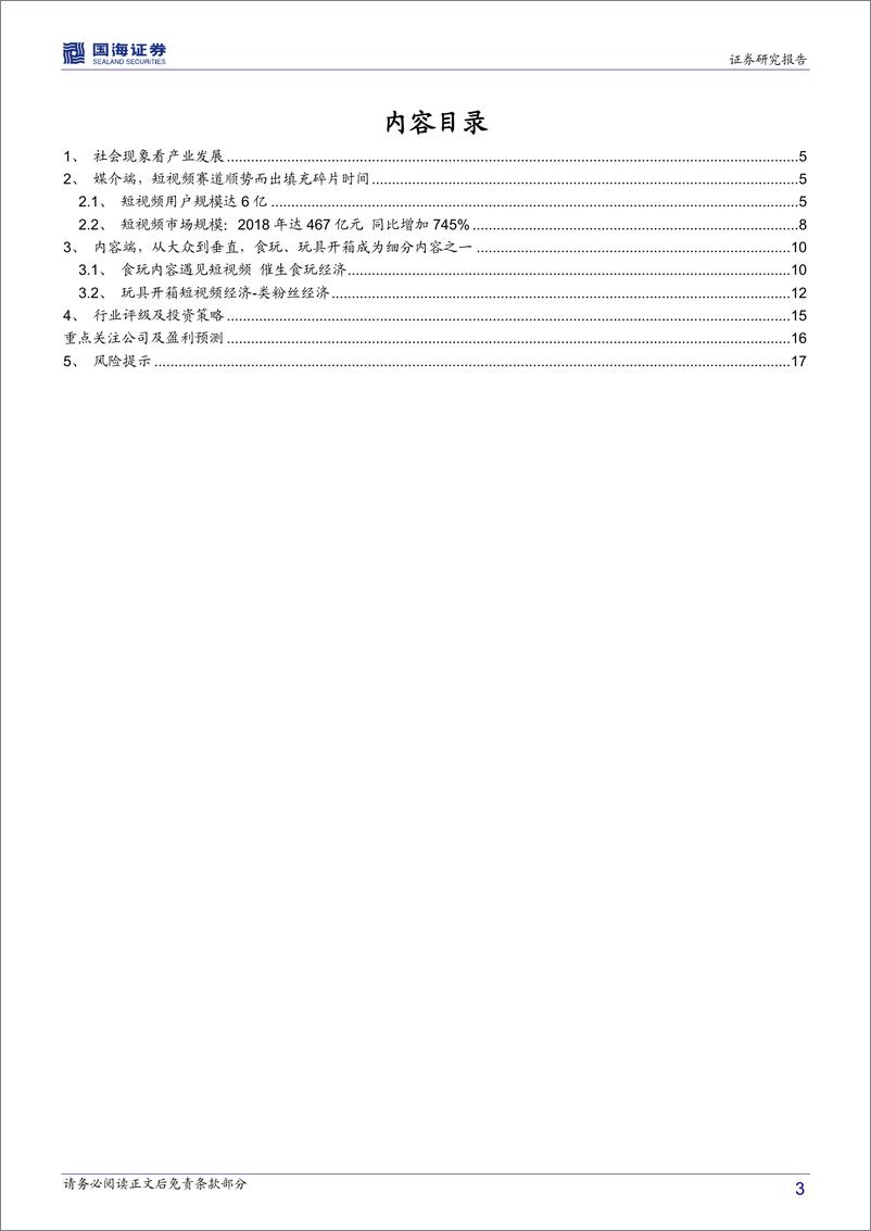 《传媒行业深度报告：从食玩到玩具开箱短视频看文化符合与媒介价值（上篇）-20200212-国海证券-19页》 - 第4页预览图