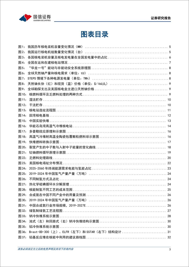 《公用事业_大国碳中和之四代核电-解决核能利用痛点_向_终极能源_过渡》 - 第3页预览图