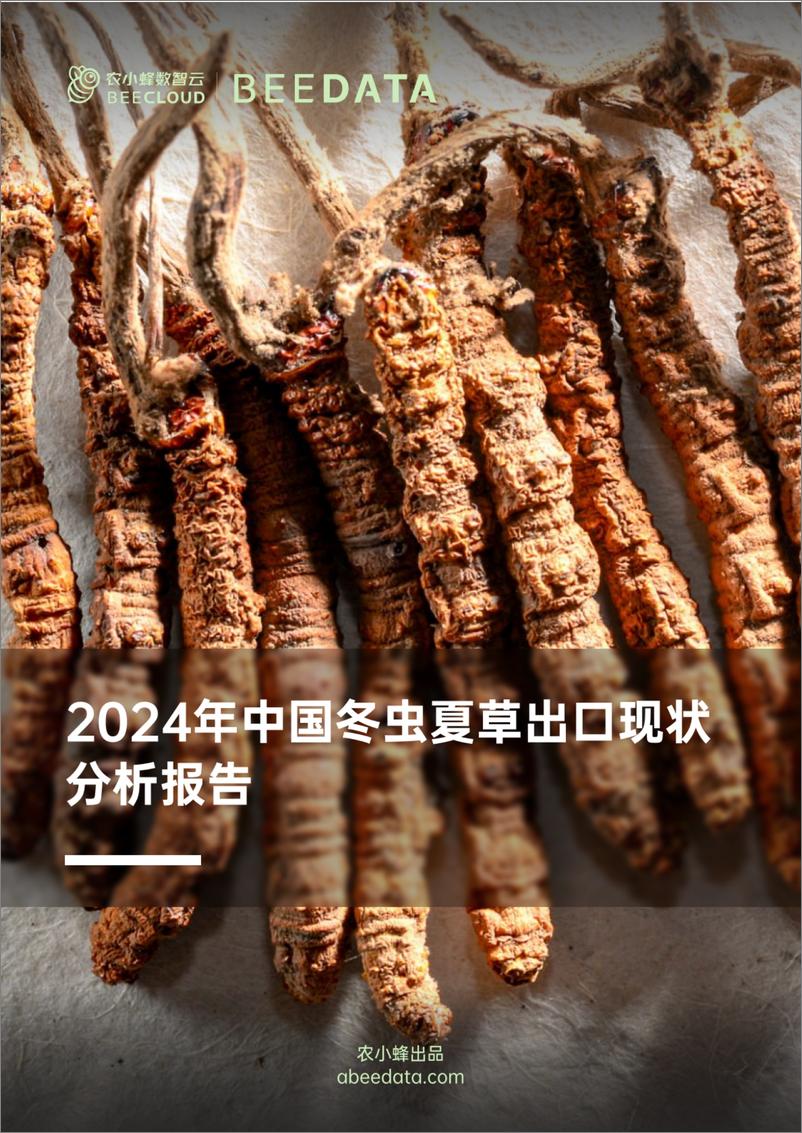 《农小蜂-2024年中国冬虫夏草出口现状分析报告》 - 第1页预览图