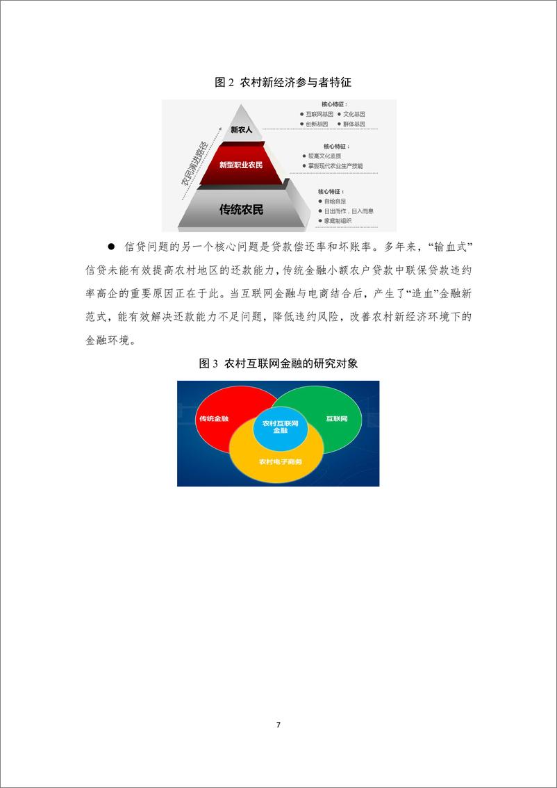 《IFCEO说2015年农村互联网金融报告28页》 - 第7页预览图