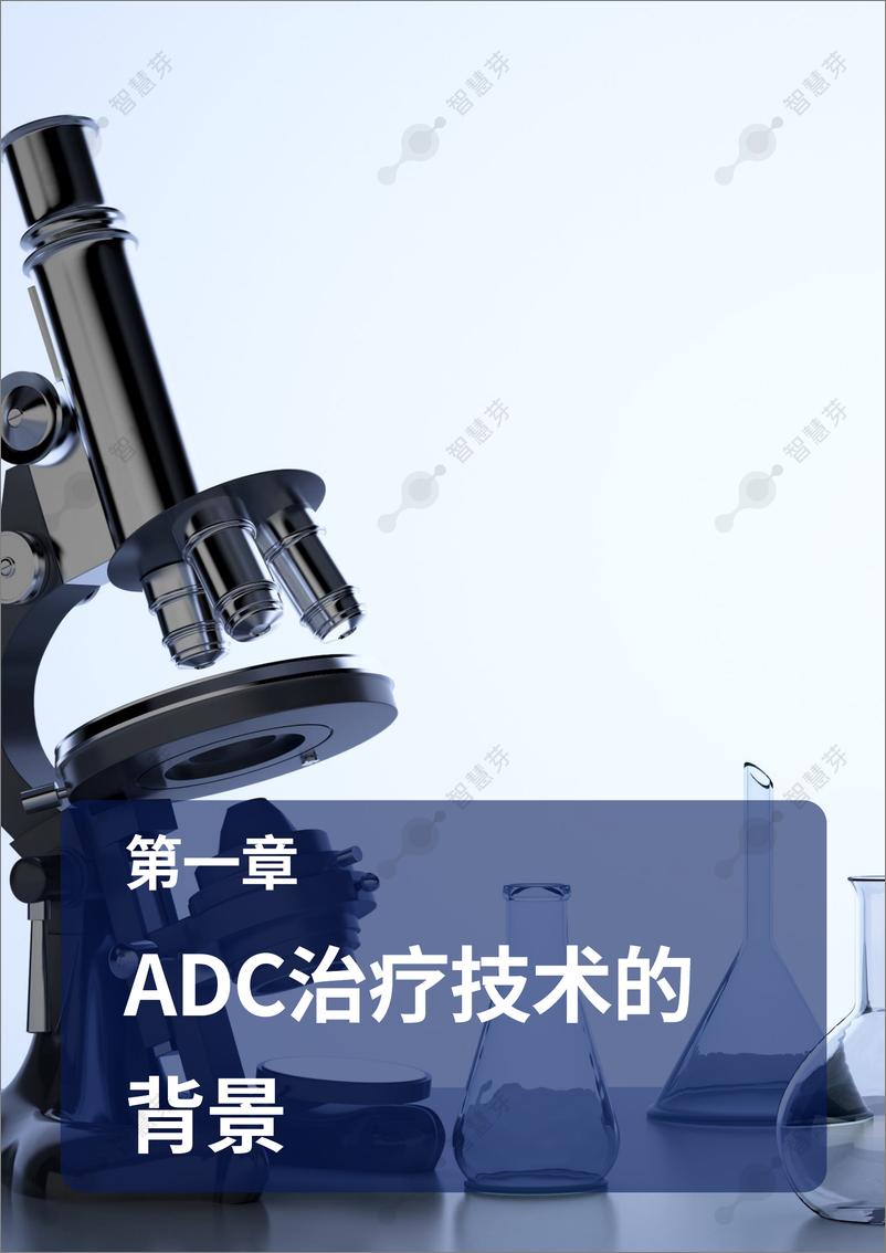 《2024年ADC研发中的最新技术和知识产权趋势报告-35页》 - 第4页预览图